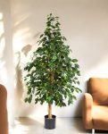 Natural Exotica Tree