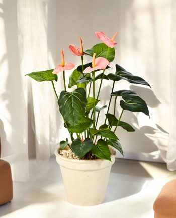 Anthurium Deluxe Pink – Artificial Indoor Plant