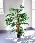 Bamboo Tree