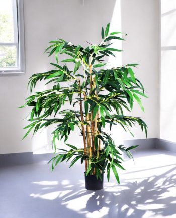 Bamboo Tree
