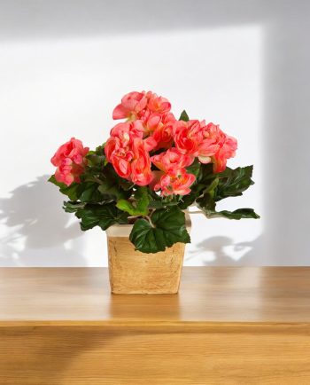 Begonia Bush HRS – Artificial Indoor Plant