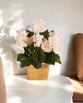 Begonia Bush HRS Pink – Artificial Indoor Plant