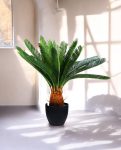 Plastic Cycas W/Pot