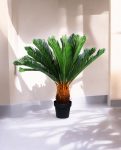 CYCAS (POTTED) 93cm CH9504158(c) (3)