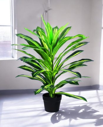 Dracaena 43 Leaves Artificial Plant in Decorative Pot