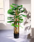 Lyrata Tree