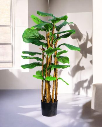Lyrata Tree
