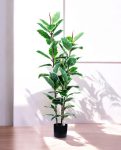 FICUS RUBBER VARIEGATA TREE 130cm 19344(a) (3)