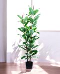 FICUS RUBBER VARIEGATA TREE 130cm 19344(a) (3)