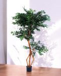 S-Ficus 180cm S.S Conica Plus silver (1)