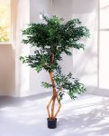 S-Ficus 180cm S.S Conica Plus silver (1)