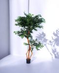 S-Ficus 180cm S.S Conica Plus silver (1)