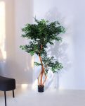 S-Ficus 180cm S.S Conica Plus silver (1)