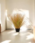 Fountain Antumn Grass