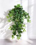 Green Ivy Hanging Bush 70cm 8FW01135N