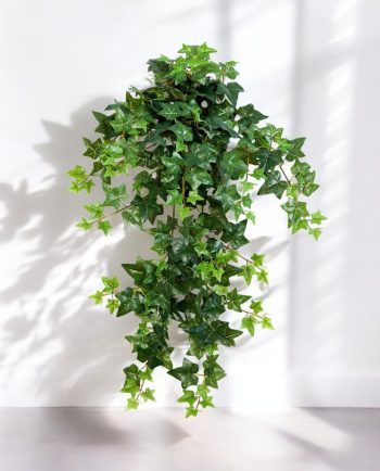 Green Ivy Hanging Bush
