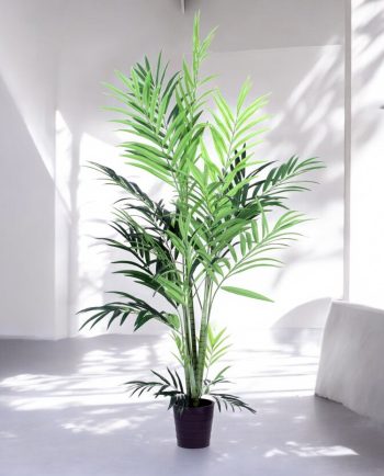 Real Touch Butterfly Palm Tree