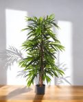 Longifolia Deluxe Tuft