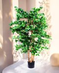 Orient Ficus 180cm (1)