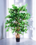 Orient Ficus 180cm (1)