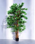 Orient Ficus 180cm (1)