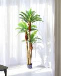Areca Palm Tree X45 W/Pot