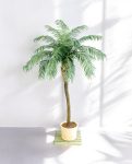 Phoenix Palm Deluxe