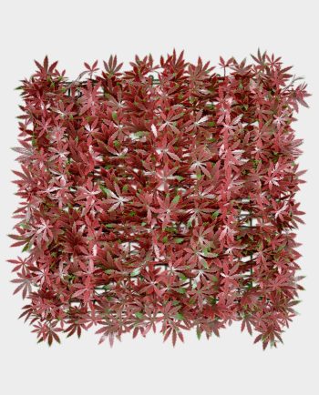 Red Maple