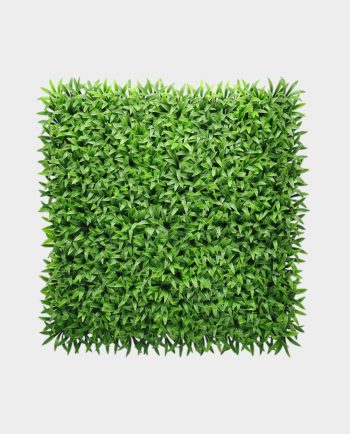 Green Sun Grass