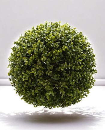 Buxus Ball