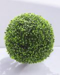 CCGA045 Boxwood Ball 28×28-38×38-45×45