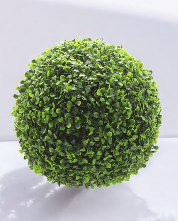 Boxwood Ball