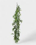 Dianthus Hanging