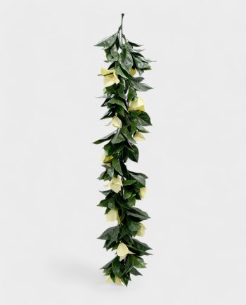 Bougaunvila Hanging