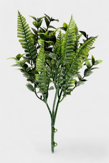Vergin Gold Leaf Bush