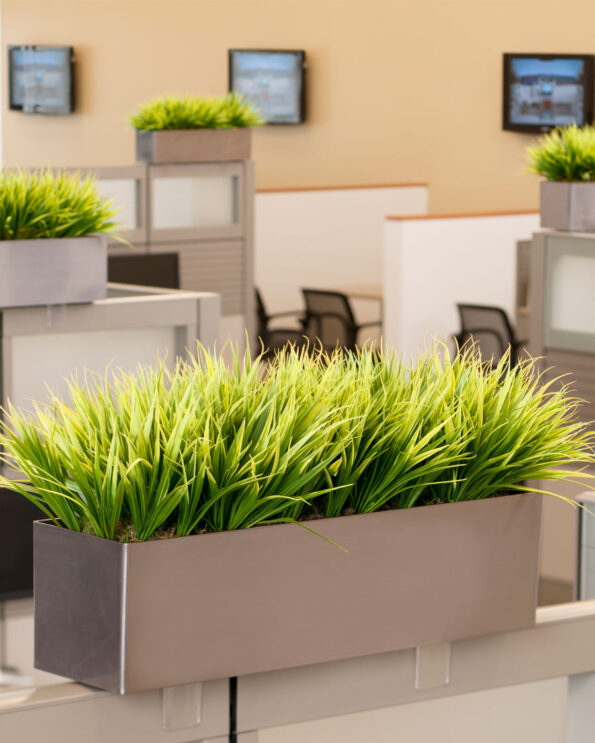 Elegant indoor greenery for luxury homes and spaces